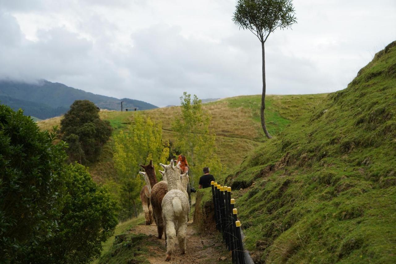 باراباراومو Luxury Stay, Alpaca Farm المظهر الخارجي الصورة