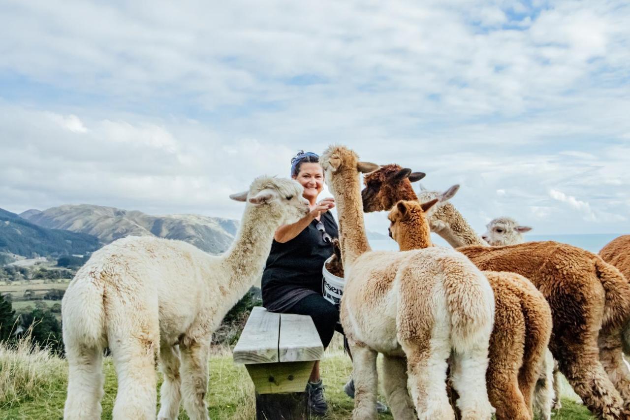 باراباراومو Luxury Stay, Alpaca Farm المظهر الخارجي الصورة